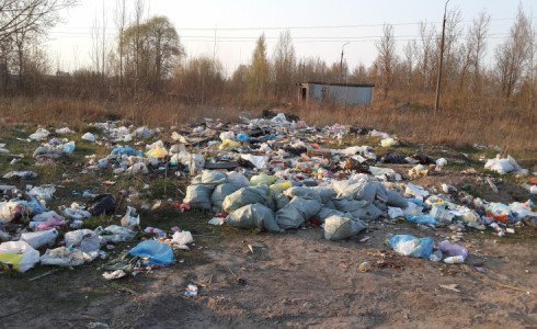 Волгоград утопает в мусоре