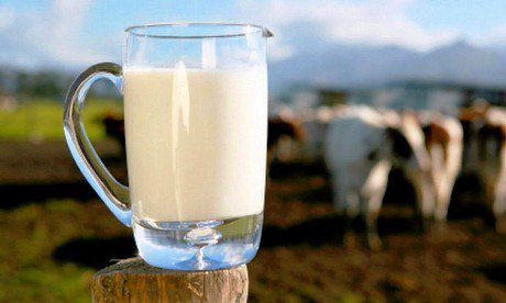 В Астрахани появилась монастырская молочная продукция
