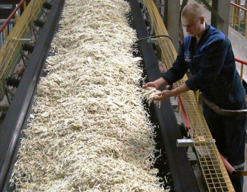 В Краснодарском крае подвели итоги работы предприятий по производству сахара