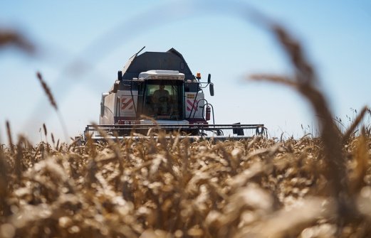Сбор урожая зерновых на Кубани  подходит к концу