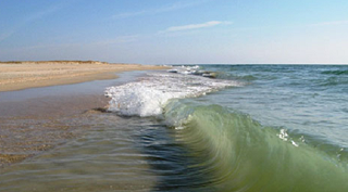 Имитационная модель Азовского моря создана ростовскими учеными