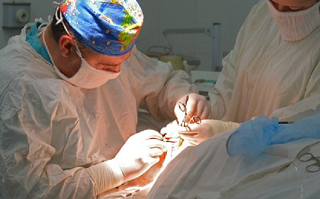 Пластическая хирургия на Кубани привлекает и зарубежных пациентов