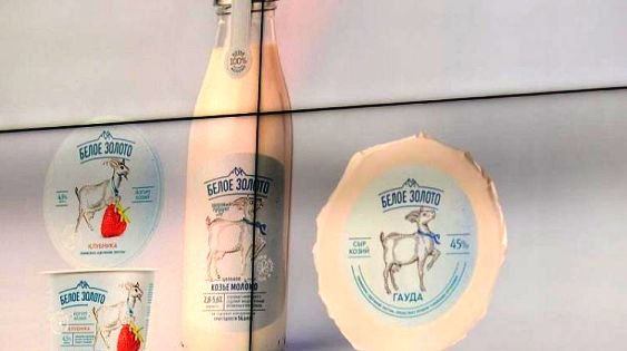 В Адыгея реализовали первый этап инвестпроекта по производству козьего молока