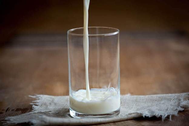 Краснодарский край стал лидером России по производству питьевого молока