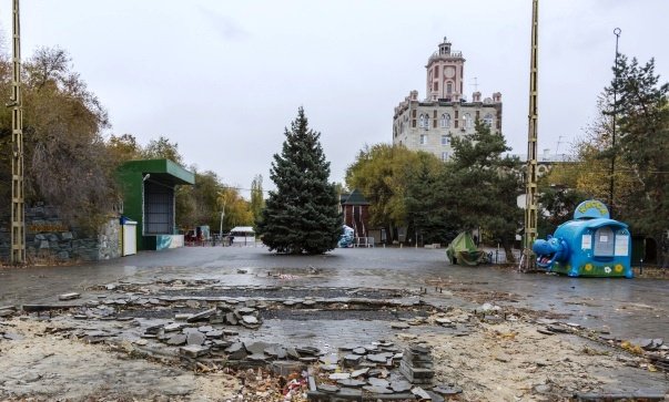 В Комсомольском саду Волгограда урбанисты создадут аптекарский огород