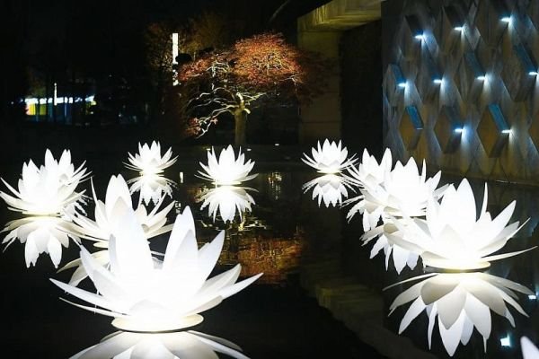 Парк «Краснодар» начали готовить к Новому году светящимся шалфеем