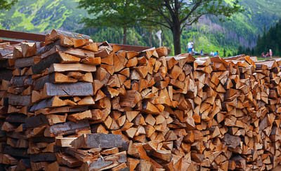 В Краснодарском крае агрария будут судить за незаконную вырубку деревьев на 26 млн руб.
